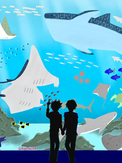 Aquarium Summer Date